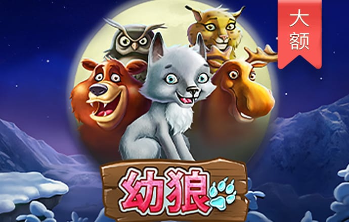 新澳门内部一码精准公开